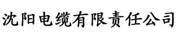 草莓视频新免费观看污电缆厂logo